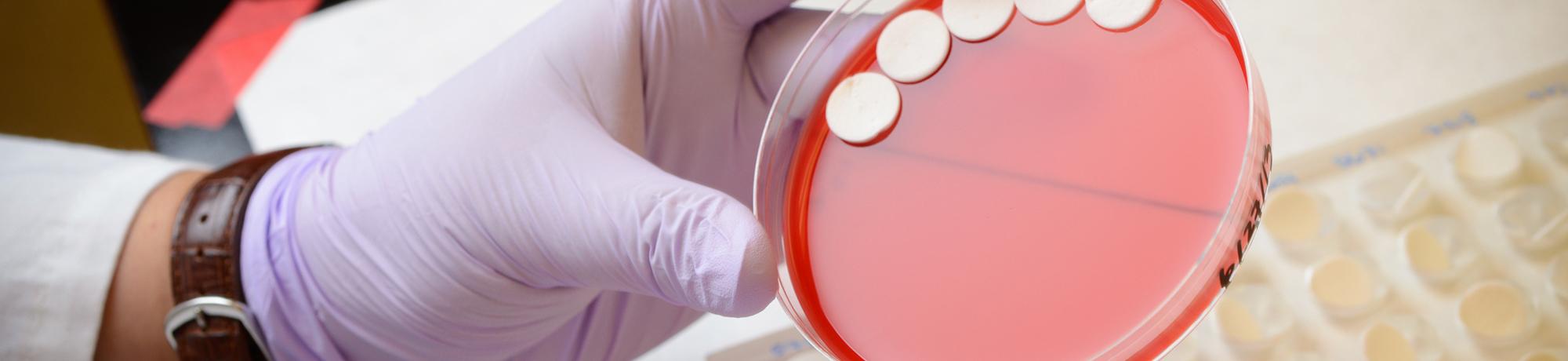 Clinical Laboratory Services School Of Veterinary Medicine