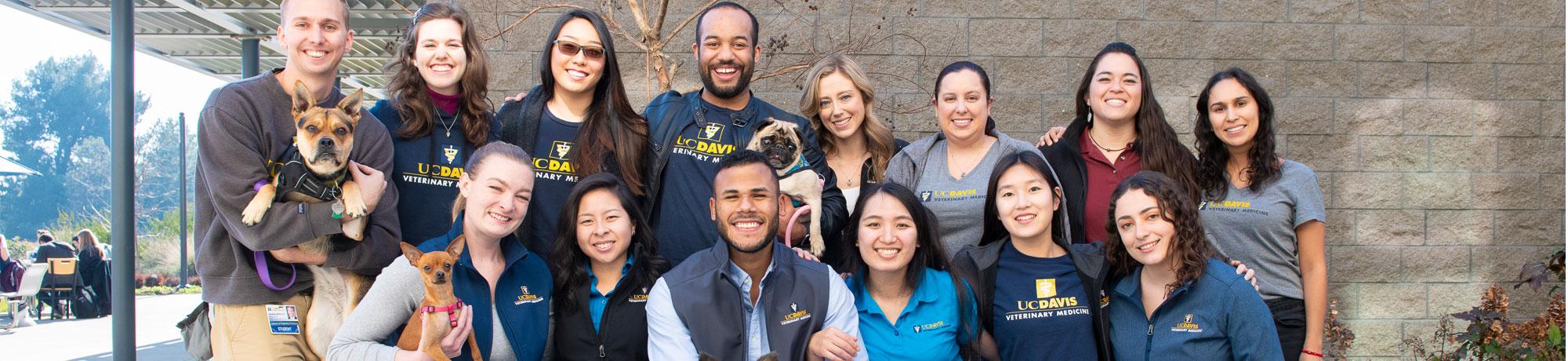 Group of veterinary students with dogs