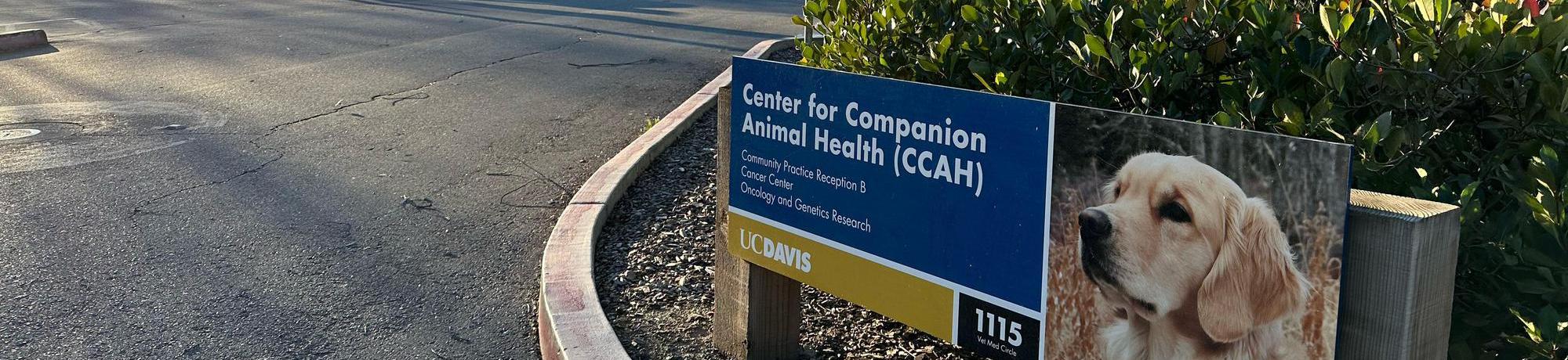 Center for Companion Animal Health building sign at the entrance to the parking lot.